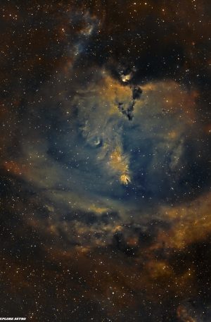 NGC2264 : la nébuleuses du Cône