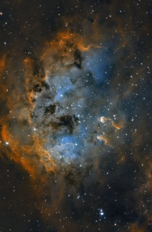 IC410 : la nébuleuse du Têtard