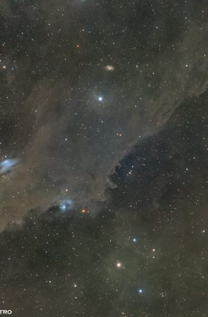 LDN1235 : La nébuleuse du Requin Sombre