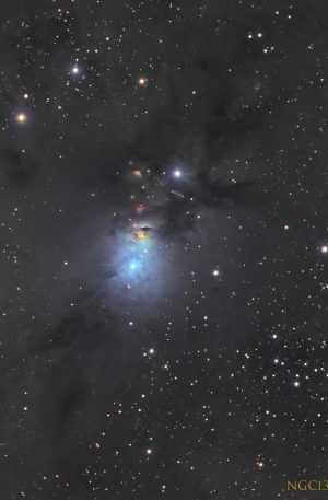 NGC1333