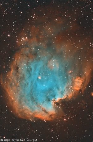 NGC2174 et NGC2175 : la nébuleuse de la tête de Singe