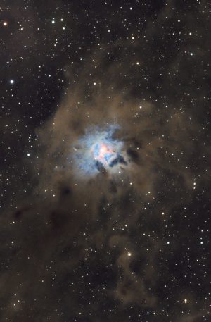 NGC7023 : la nébuleuse de l&rsquo;Iris