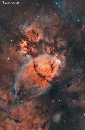 IC1795 : la nébuleuse de la tête de Poisson