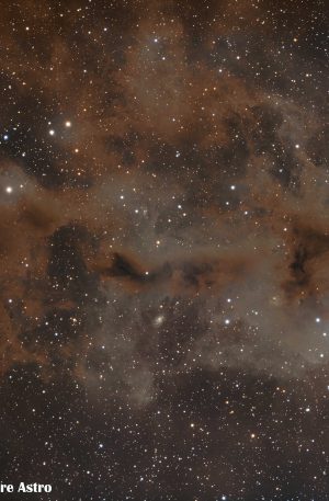 LDN1251 : la nébuleuse du Poisson Pourri